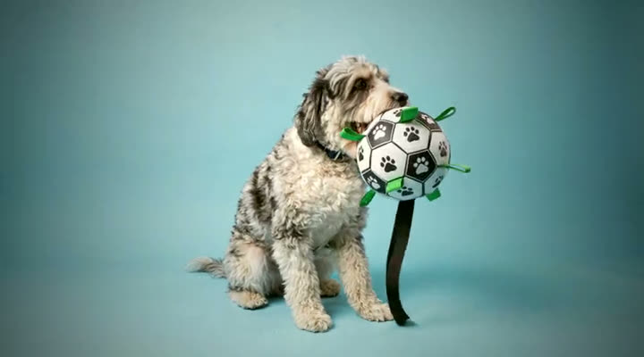 Aurelius playing with the SunGrow soccer ball